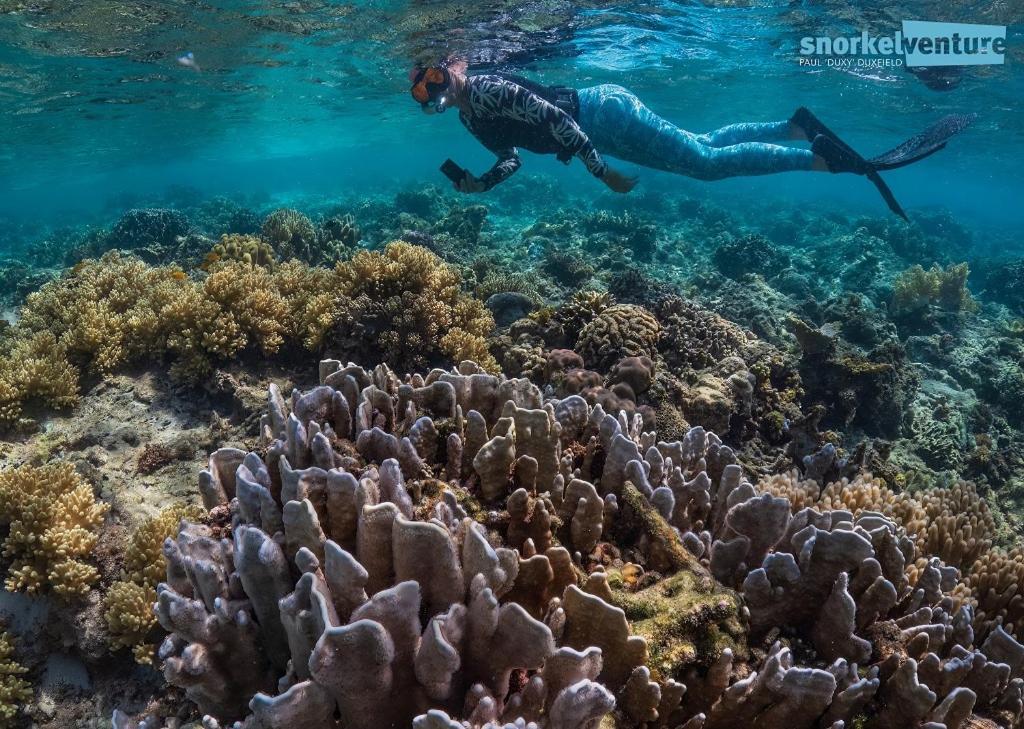 Magic Island Dive Resort Moalboal Bagian luar foto